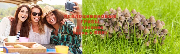 2c-b Абаза