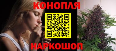 амф Новодвинск