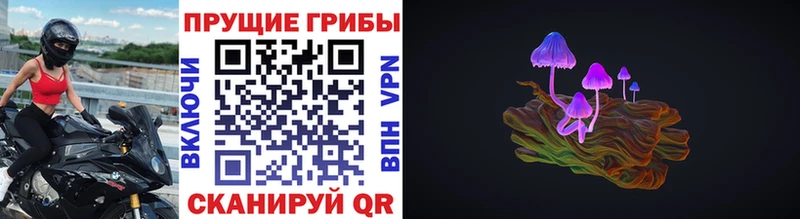 Псилоцибиновые грибы прущие грибы Стерлитамак