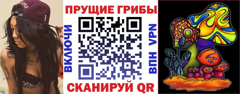 сколько стоит  Стерлитамак  Галлюциногенные грибы Psilocybe 