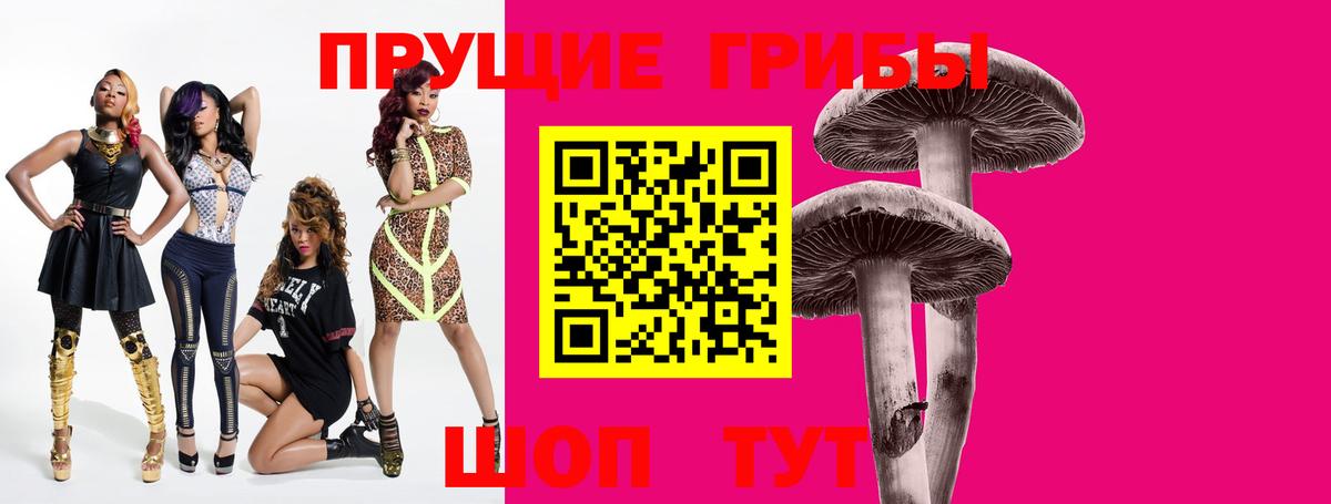 Галлюциногенные грибы Psilocybine cubensis  Вход с VPN  Стерлитамак 